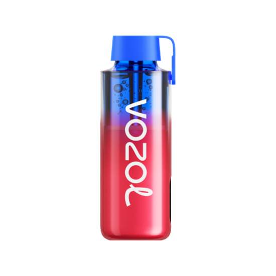 Vozol Neon 10000 Blueberry Ice Disposable Vape Bar